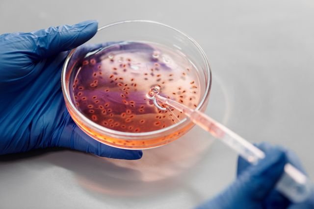 How Biotechnology Is Transforming the Future of Clinical Research